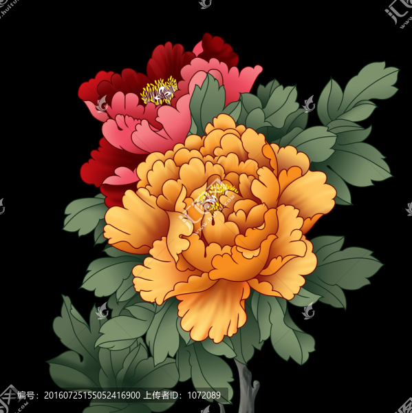 牡丹花（分層）
