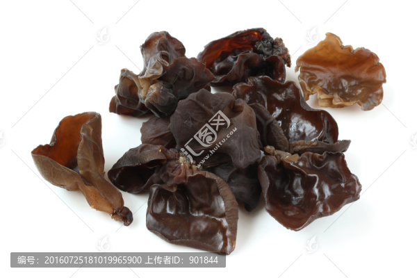 長白山特產(chǎn)黑木耳
