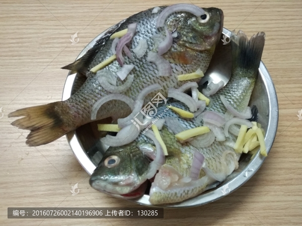 太陽魚