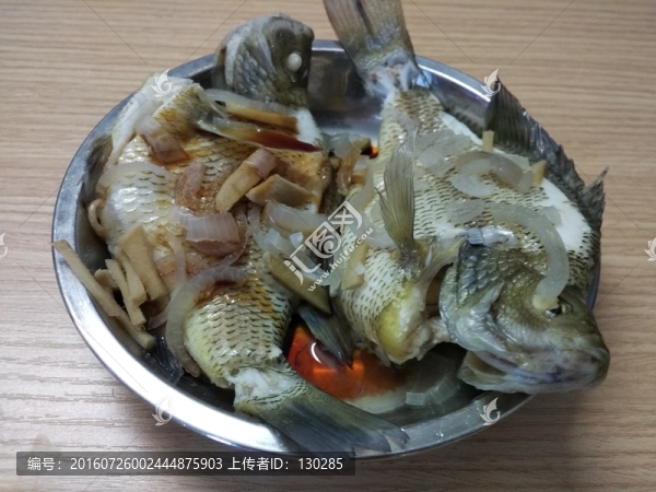 太陽魚