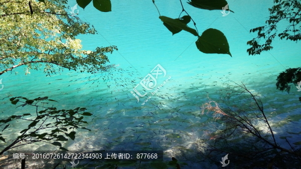 九寨溝的水