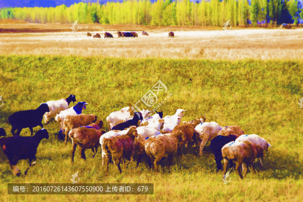 牧場(chǎng)風(fēng)光