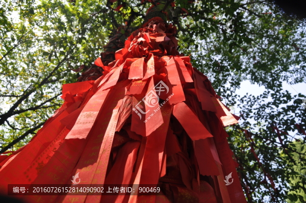 許愿樹(shù)