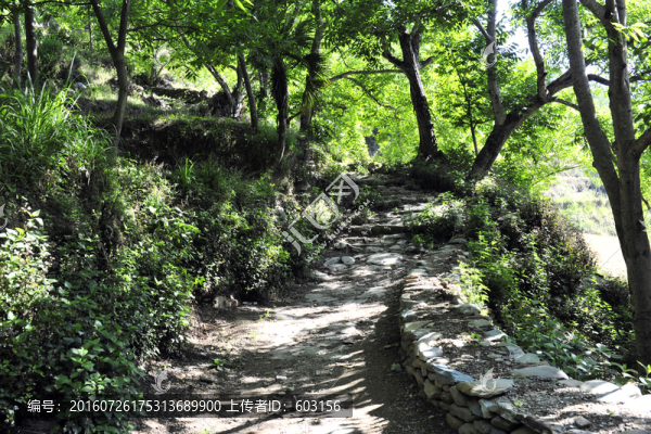 鳳慶,古墨村