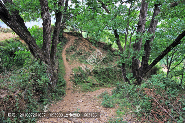 鳳慶,古墨村