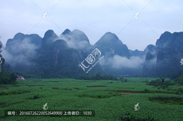 霧景,晨霧
