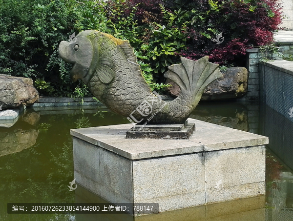 石魚