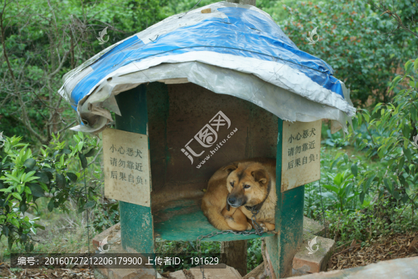 狗窩