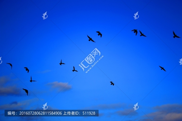 飛鳥