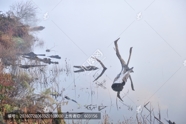 滄源,勐冷湖