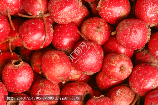 山楂