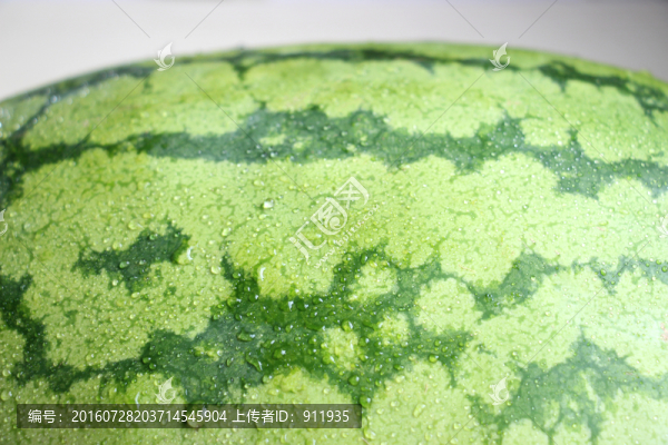 西瓜花紋