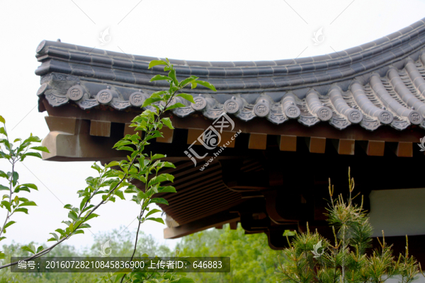 屋脊,園林,古建筑