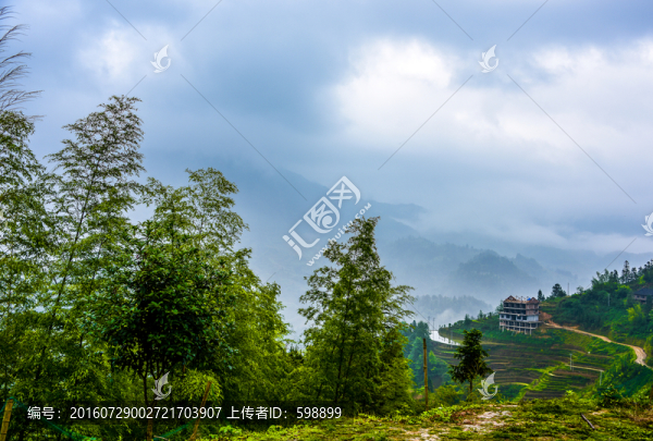 竹林遠山流云