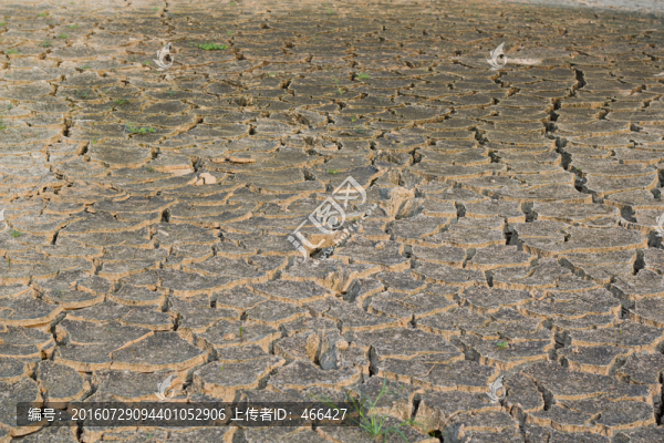 大地,干旱,裂紋,土地裂開攝影