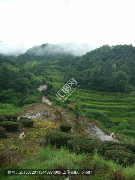 山,大山,云霧