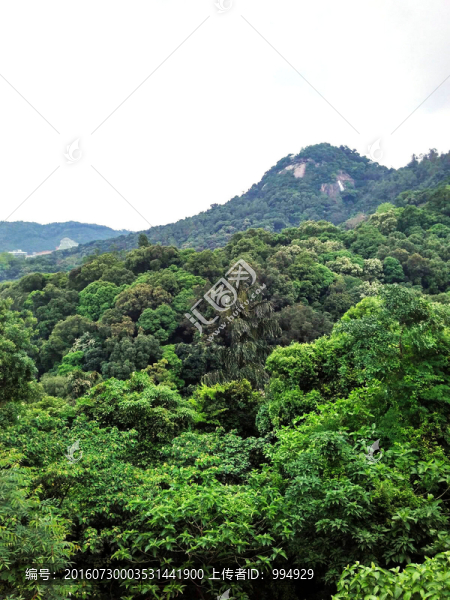 遠山