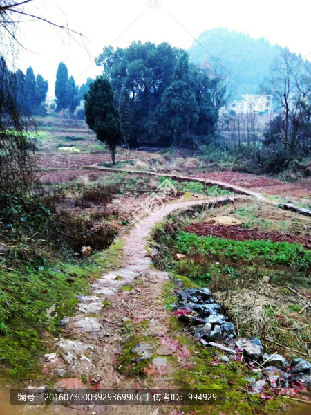 鄉(xiāng)間小路