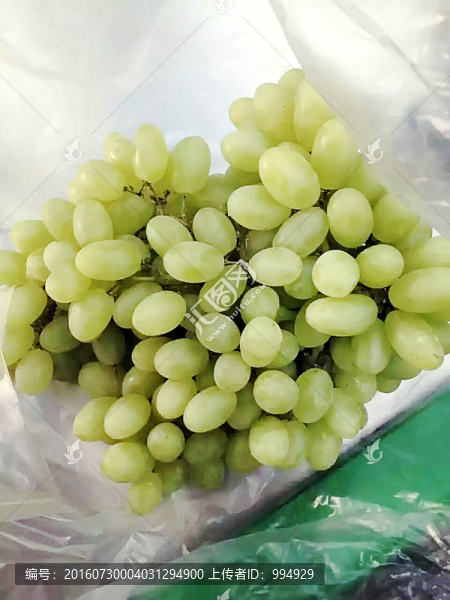 青葡萄