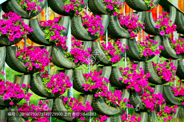 背景墻,花卉,舊輪胎