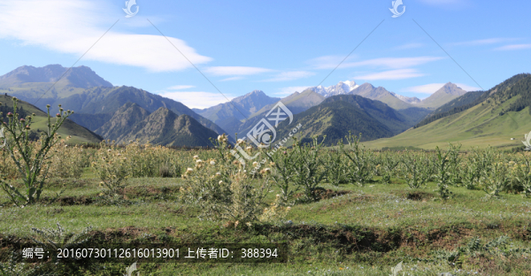 昭蘇風(fēng)光