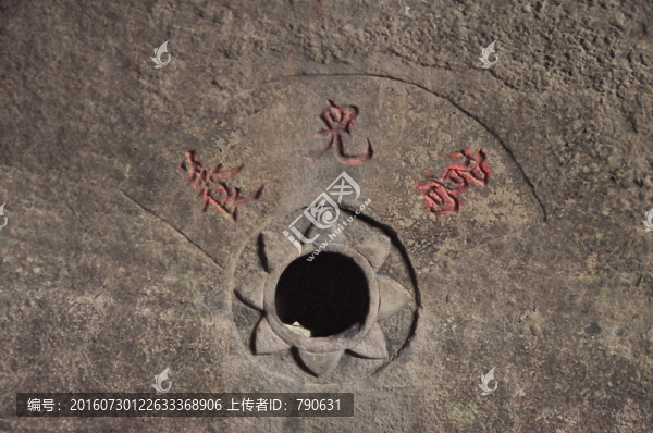 養(yǎng)兒窩特寫