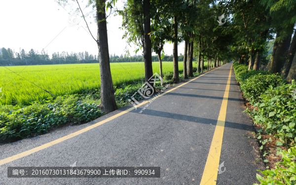 綠道