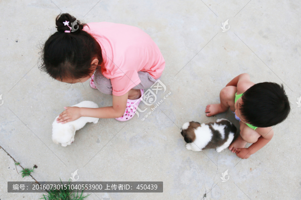 撫摸狗