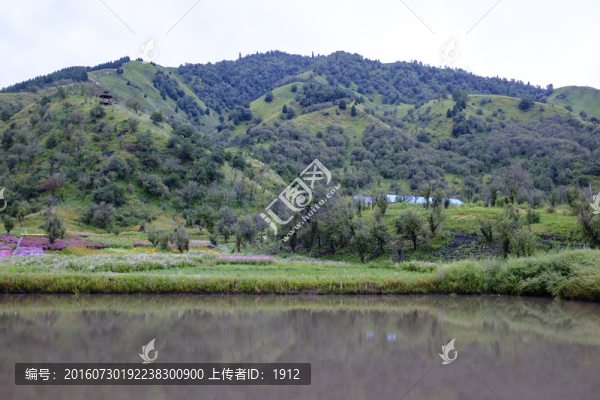 野果林