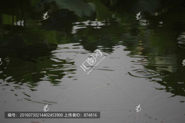波紋