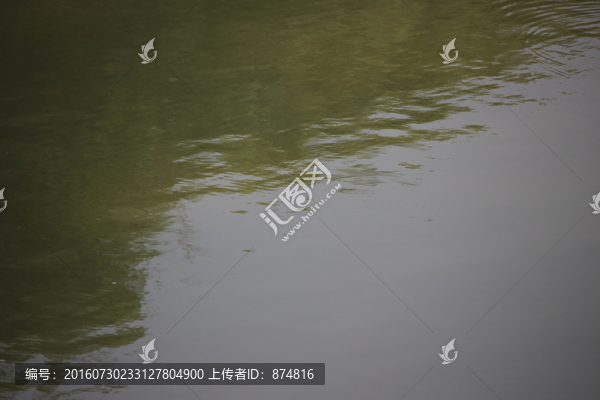 波紋