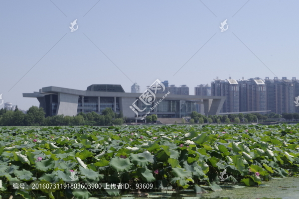 琴臺(tái)大劇院