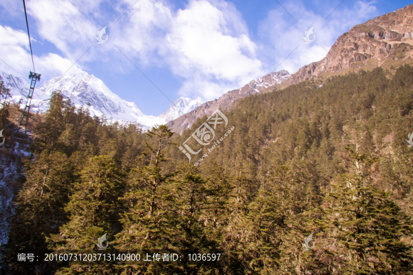 森林高山