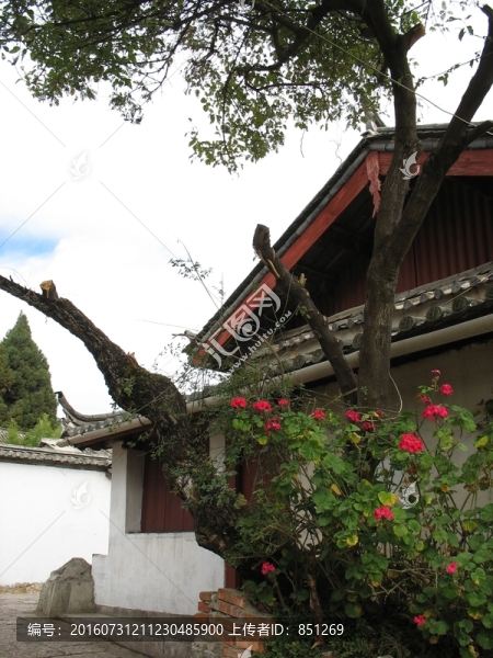 麗江古城