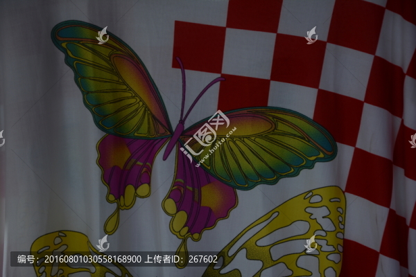 蝴蝶