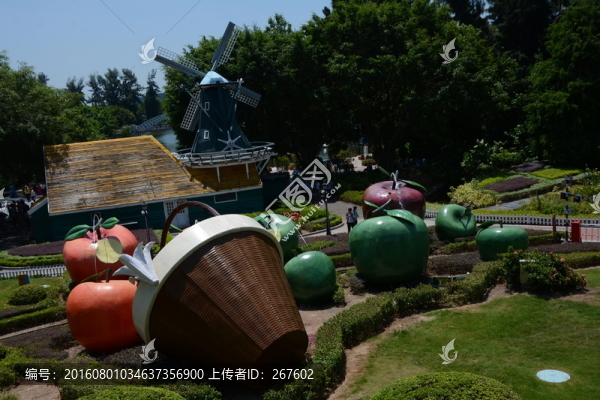 蘋果