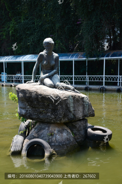 美人魚