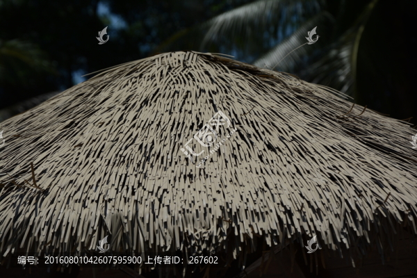 茅草