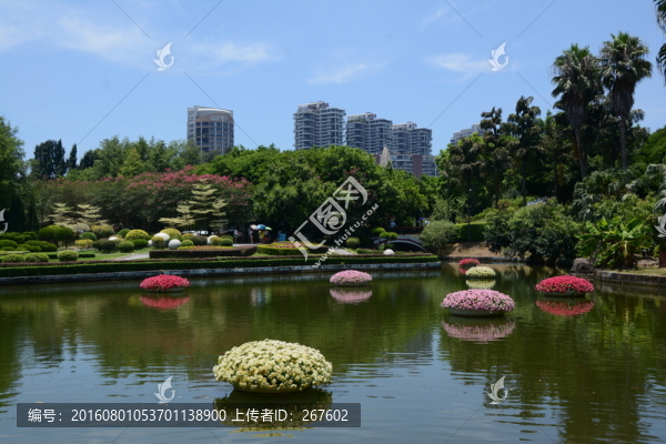 綠化