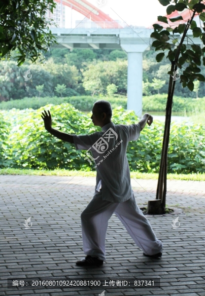 太極拳