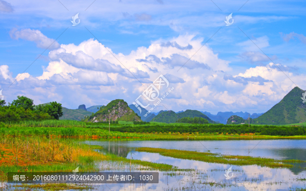 湖,濕地
