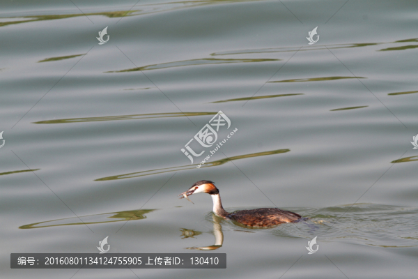 鳳頭??
