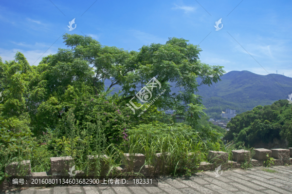 山頂綠樹蔥蔥