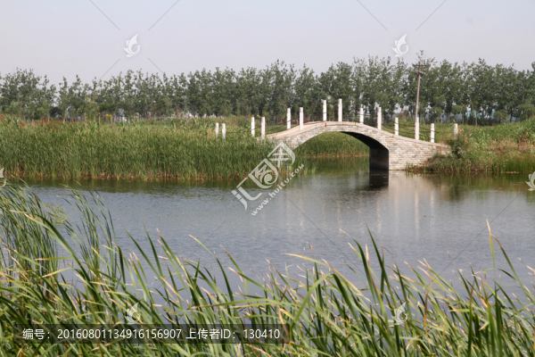 濕地,小橋