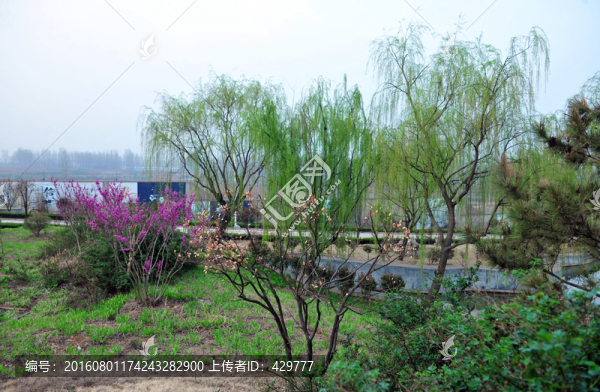 公園風(fēng)景,,春暖花開