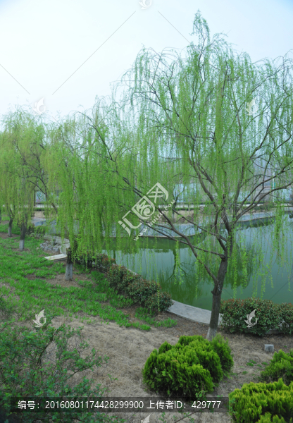公園風景,,春天公園