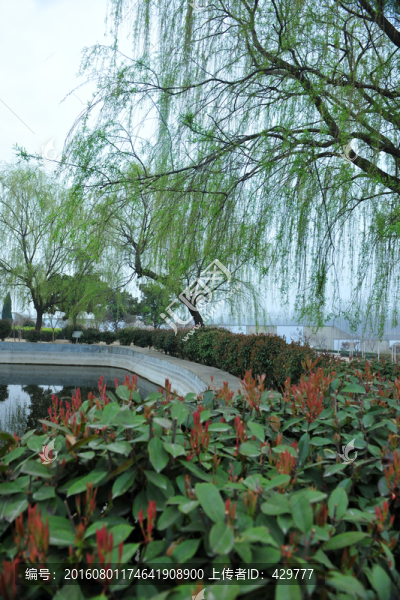 公園風(fēng)景