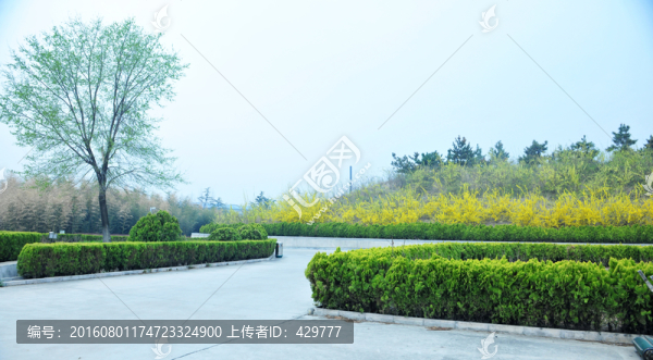 公園風(fēng)景,園林景觀