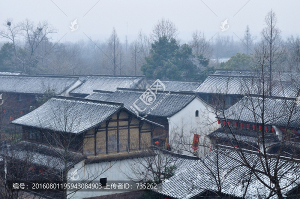杭州西溪濕地雪景