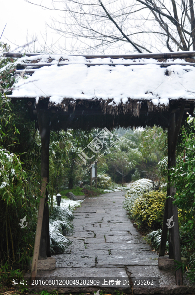 杭州西溪濕地雪景